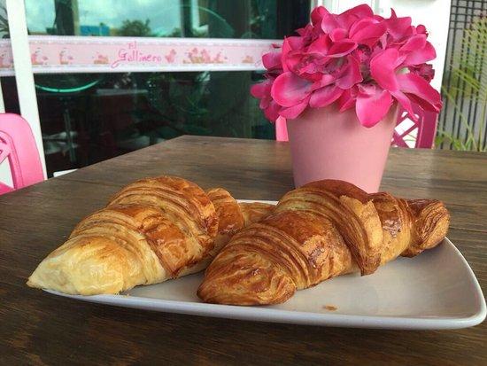 El Gallinero du Chocolat